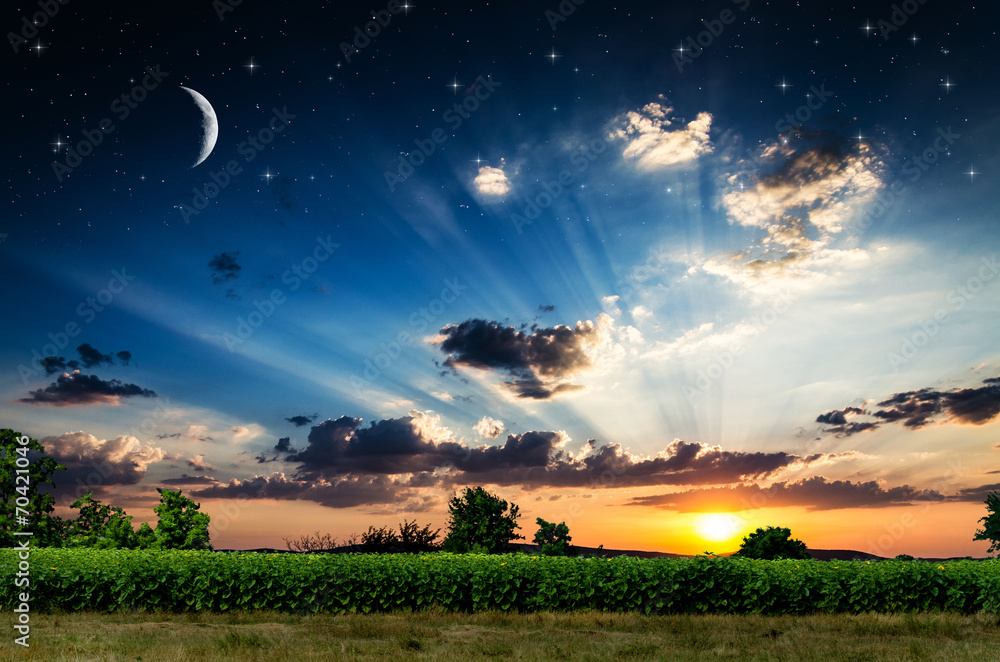 AdobeStock_70421046_Preview