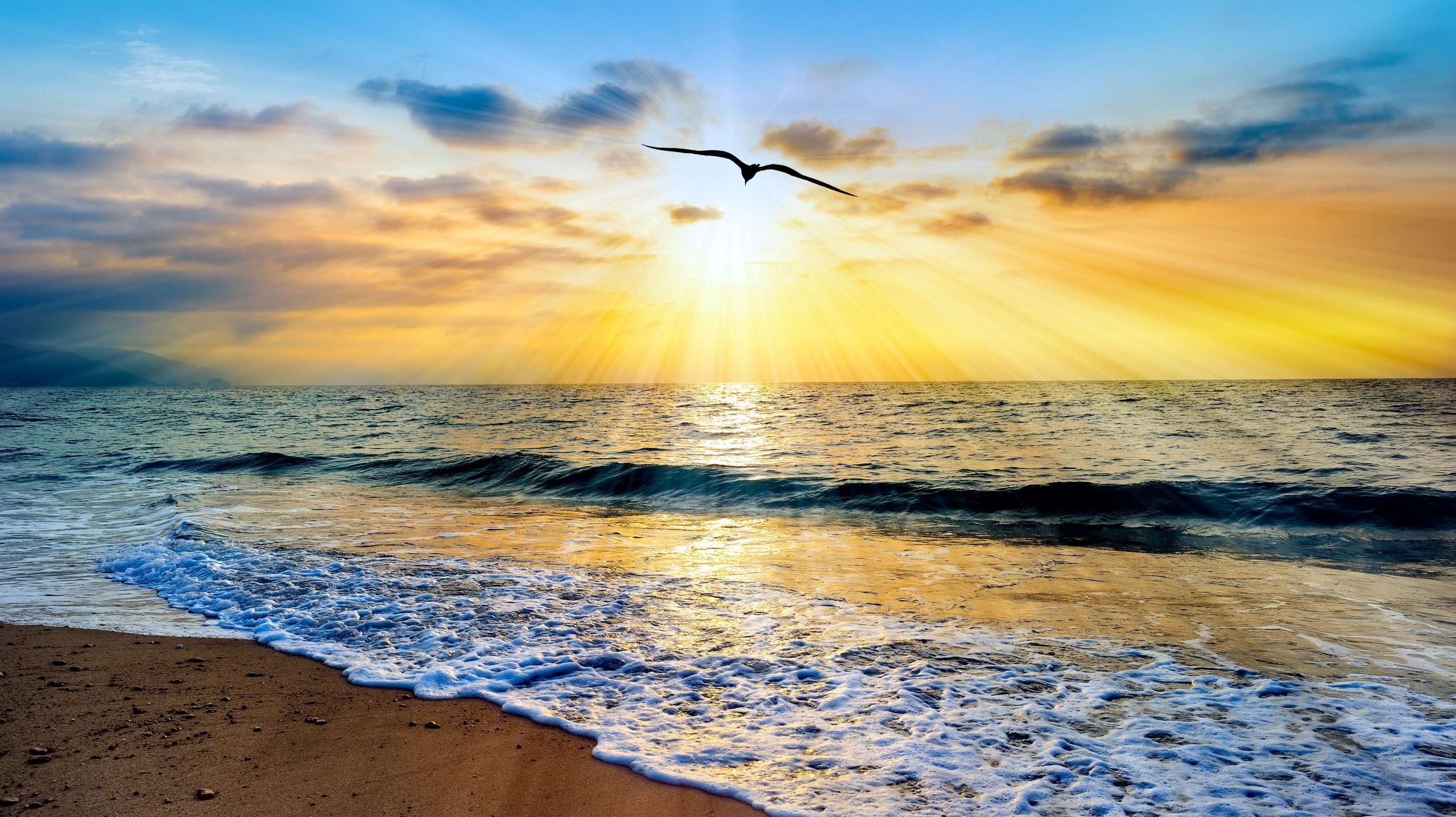 Divine Inspirational Ocean Bird Soaring Sunset Ethereal Hope In Heaven